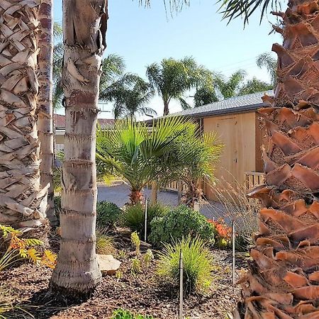 The Courtyard - Garden View Studio Port Pirie Kültér fotó